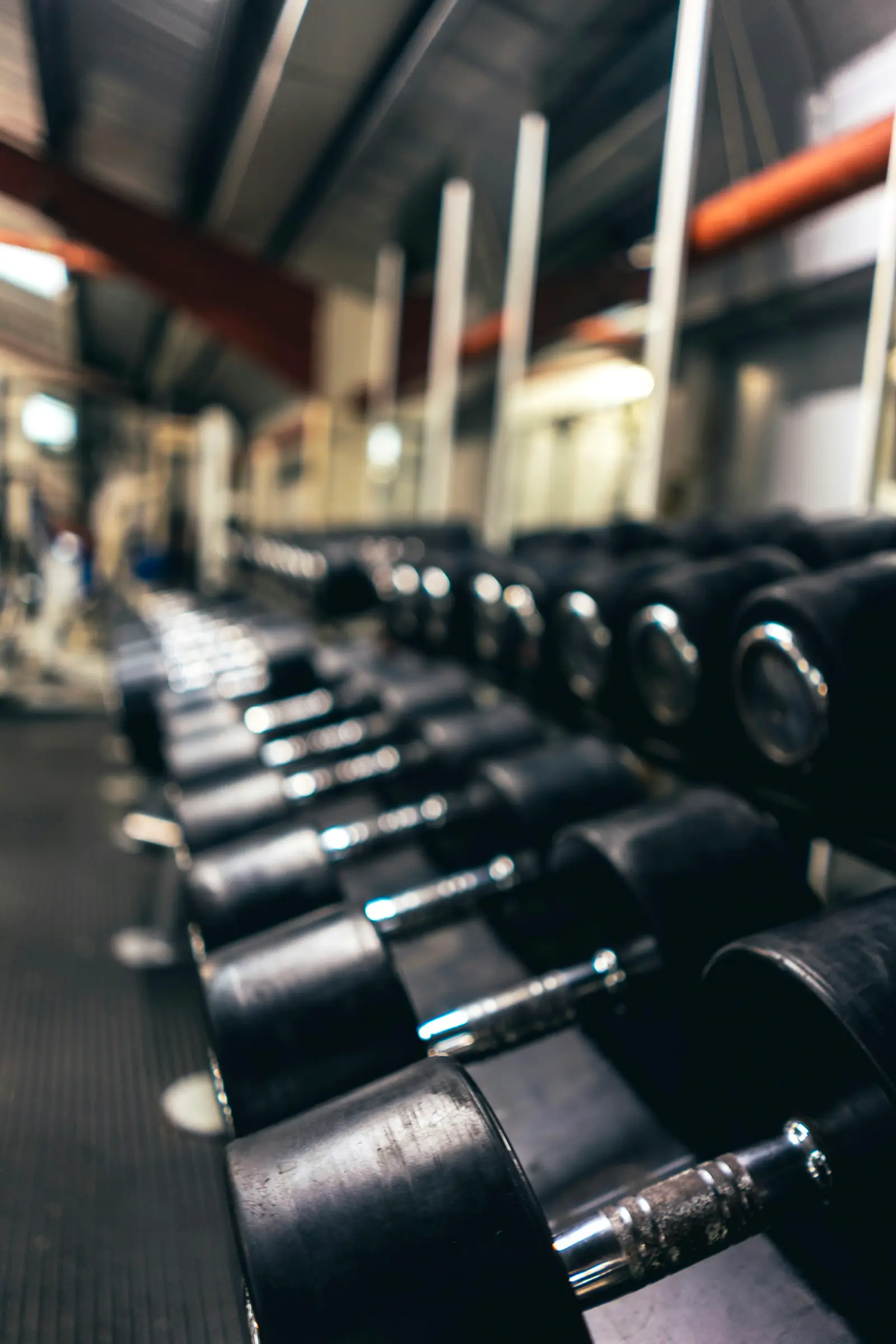 Full commercial gym setup with imported strength equipment